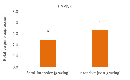 Figure 4: