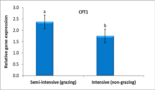 Figure 5: