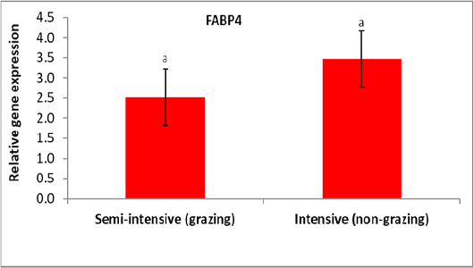 Figure 3: