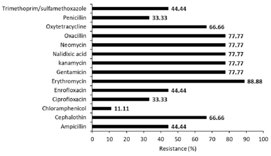 Figure 2:
