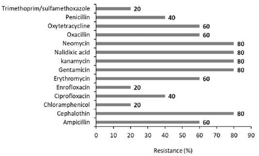 Figure 3: