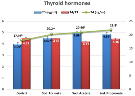 Figure 4: