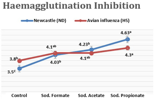 Figure 5: