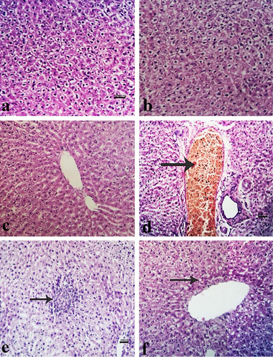 Figure 2: