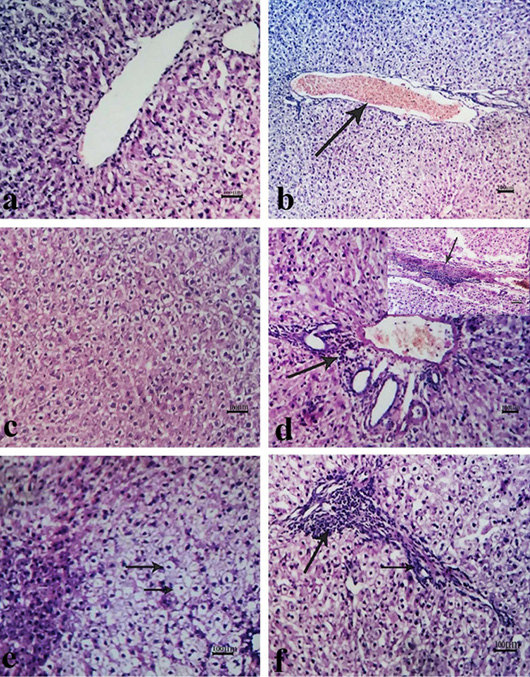 Figure 3: