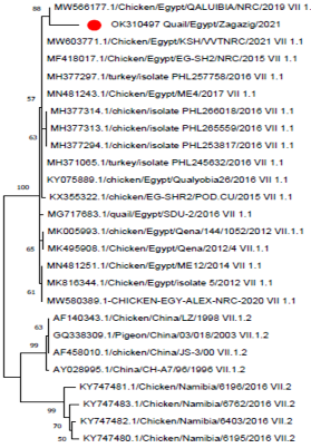 Figure 4: