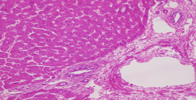 Figure 5: