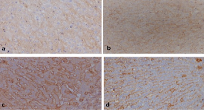 Figure 7: