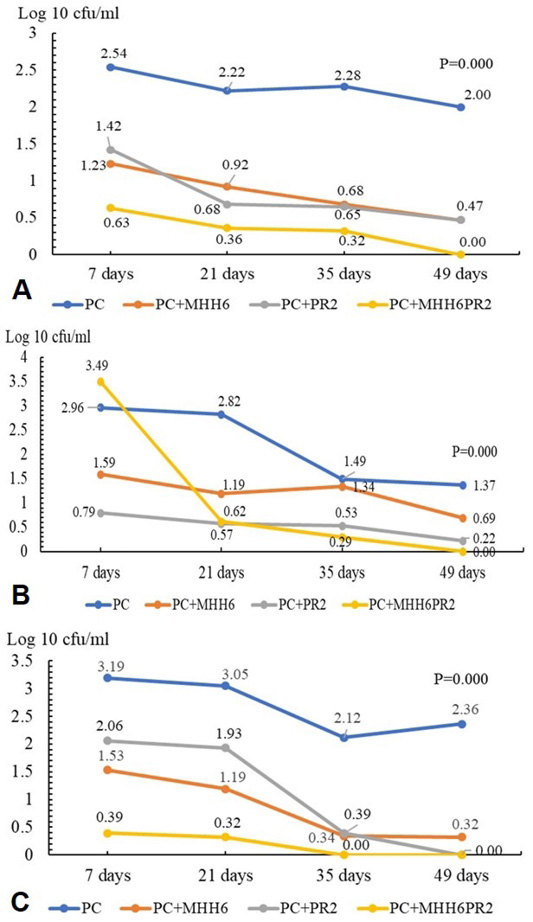 Figure 2: