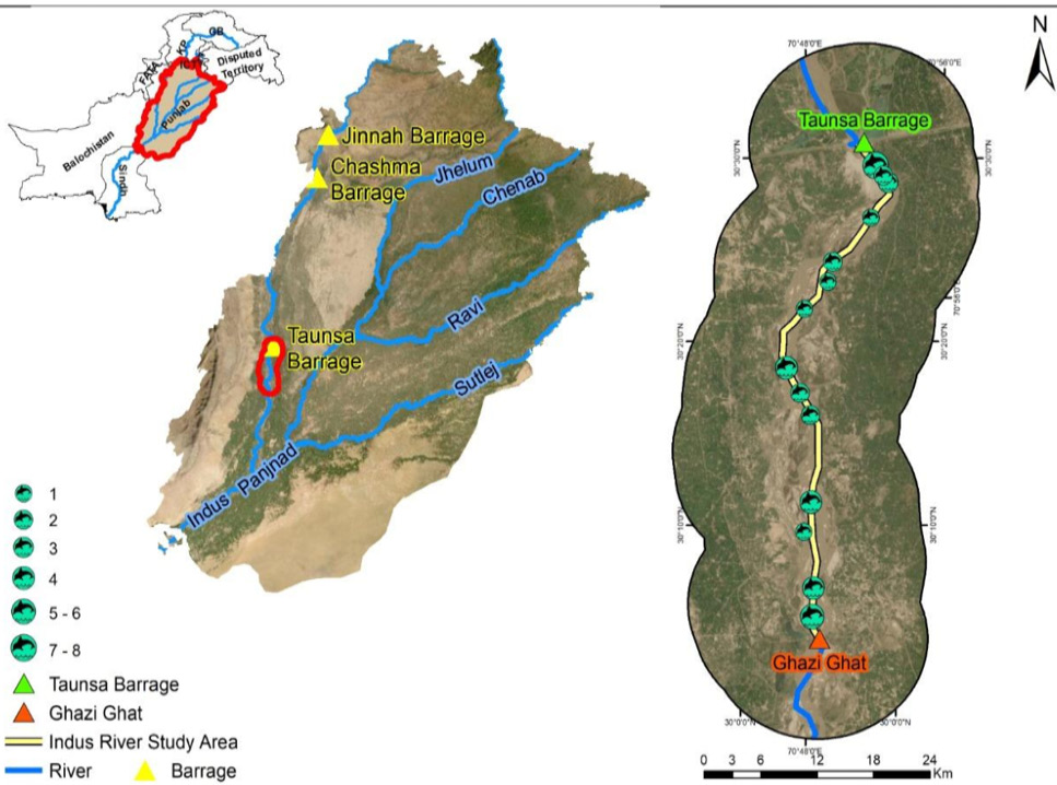 Fig. 3.