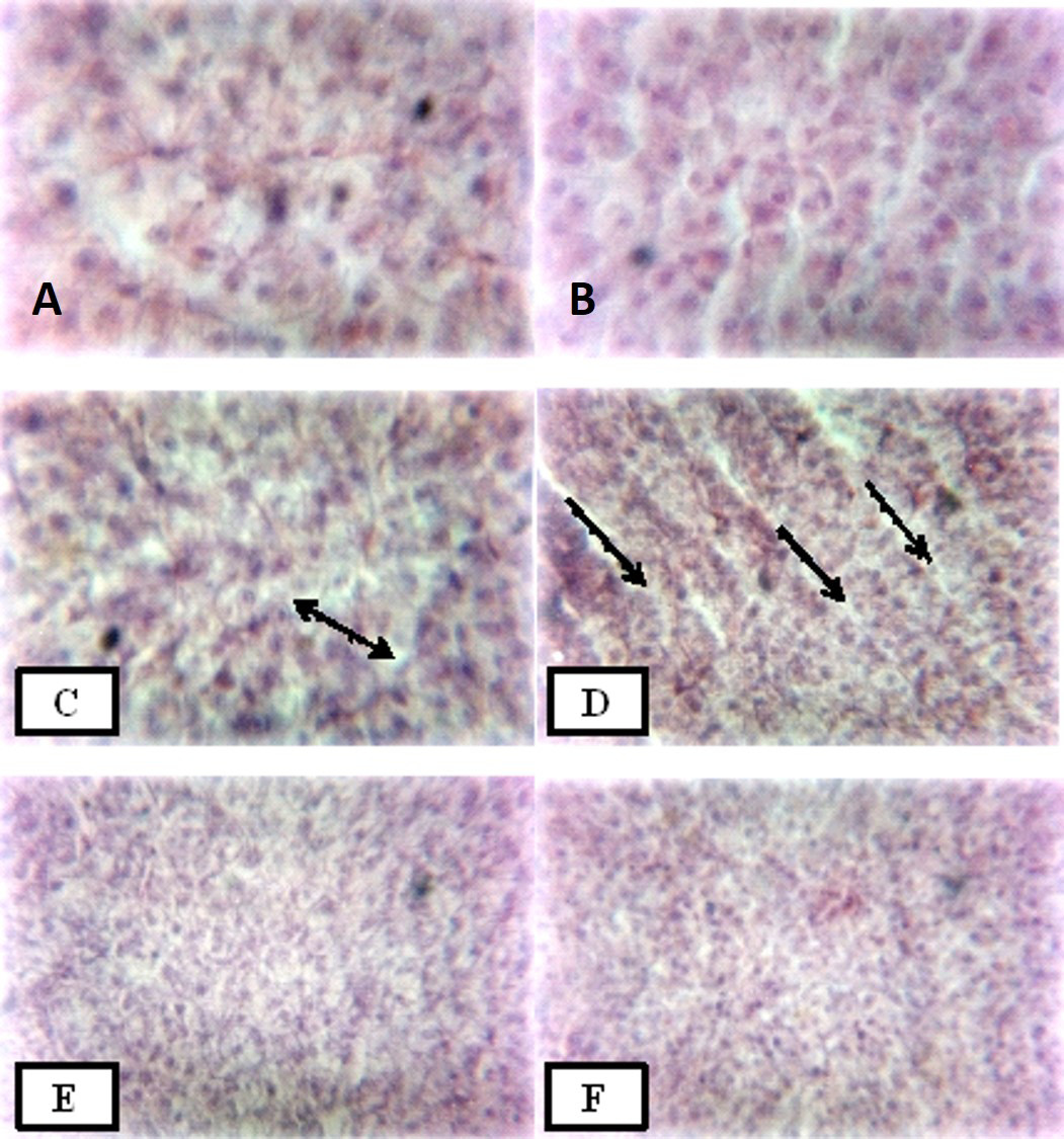 Figure 3: