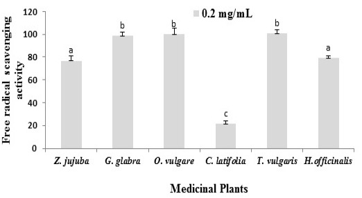 Figure 3: