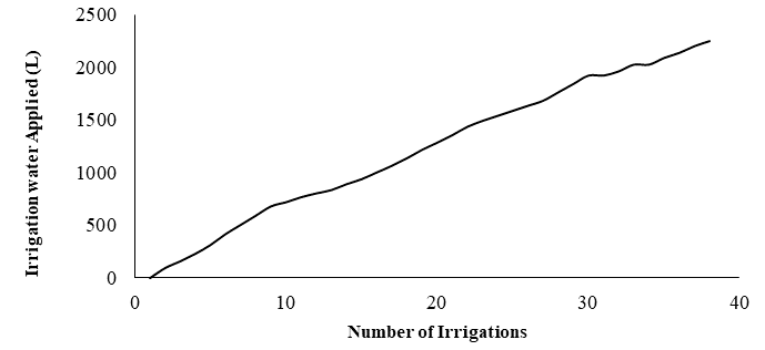 Figure 7: