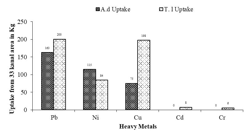 Figure 11: