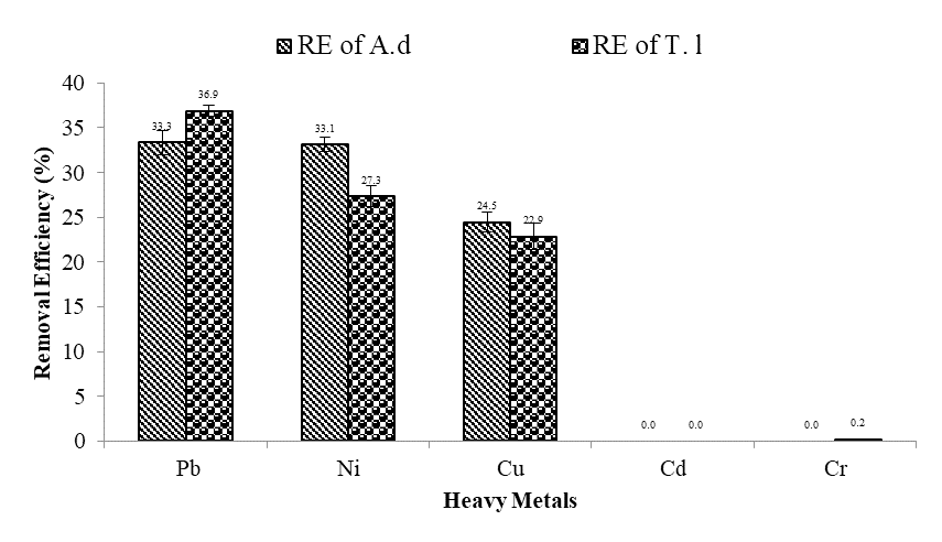 Figure 9:
