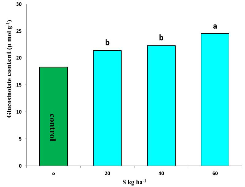 Figure 8: