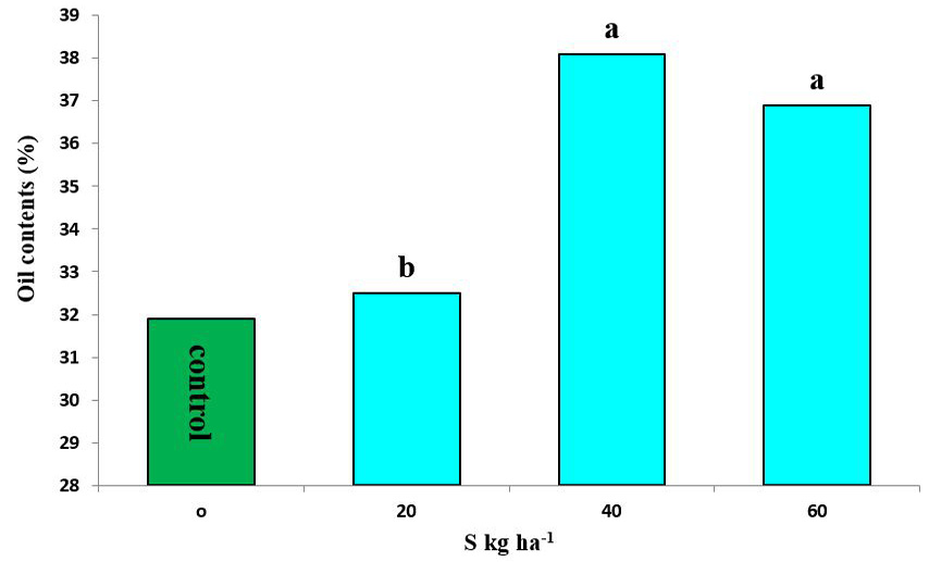 Figure 4: