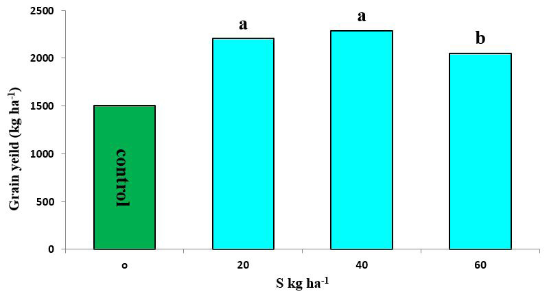 Figure 2: