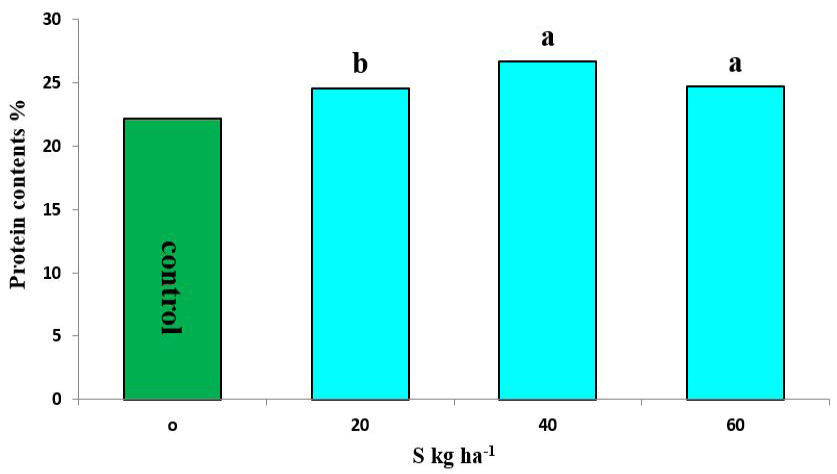 Figure 6: