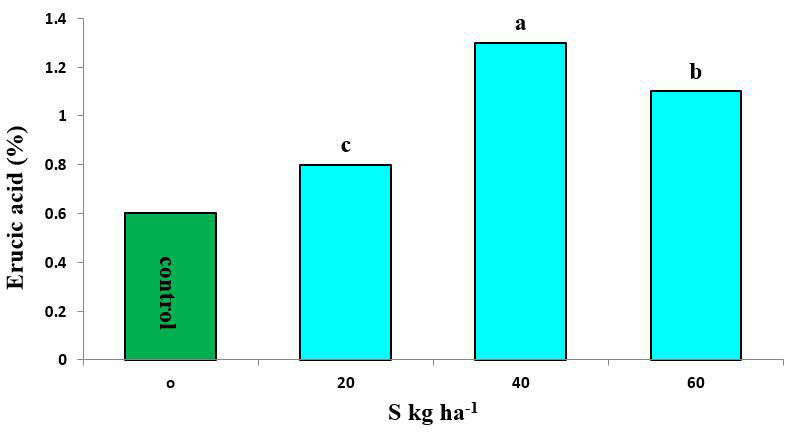 Figure 10: