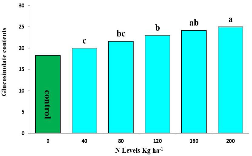Figure 7: