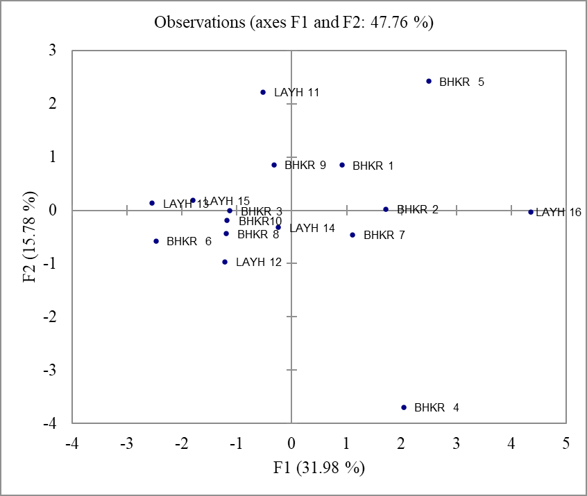 Figure 5: