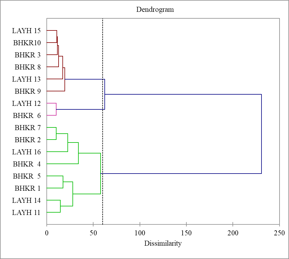 Figure 6: