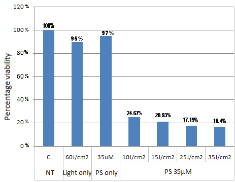 Figure 7: