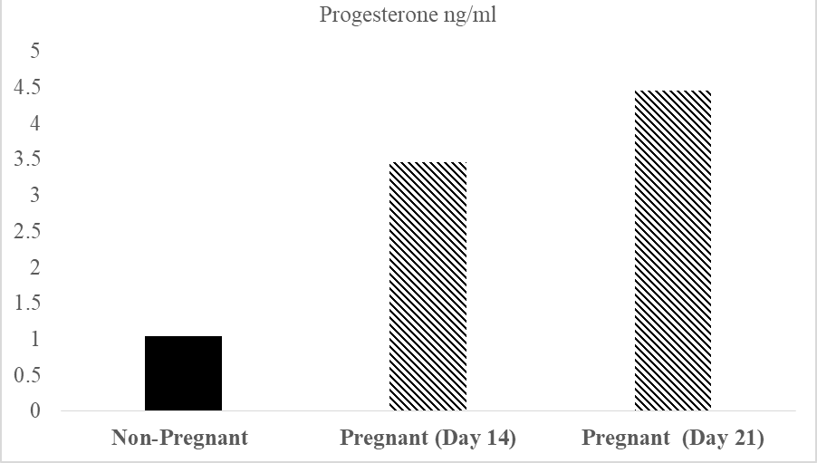 Figure 2: