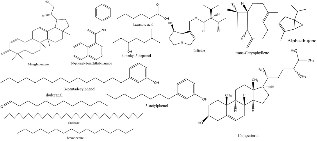 Figure 1:
