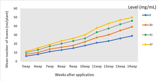 Figure 13: