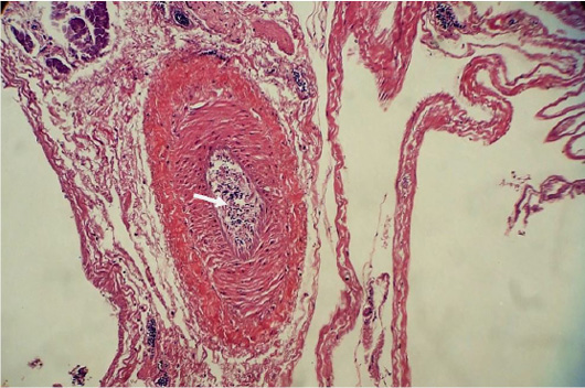 Figure 6: