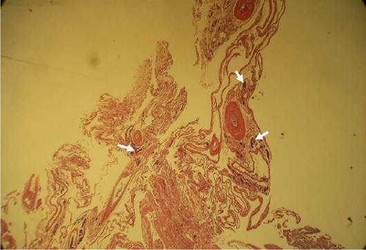 Figure 4: