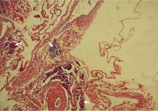 Figure 5: