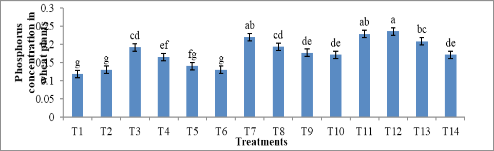 Figure 7: