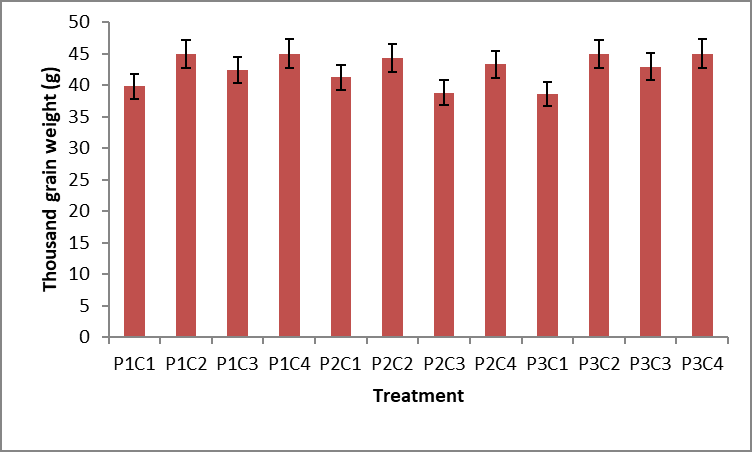Figure 5: