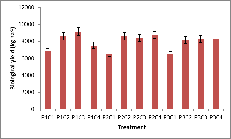 Figure 6: