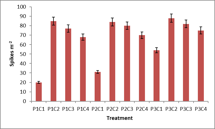 Figure 3:
