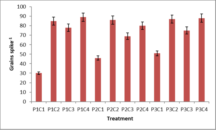 Figure 4:
