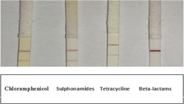 Figure 3: