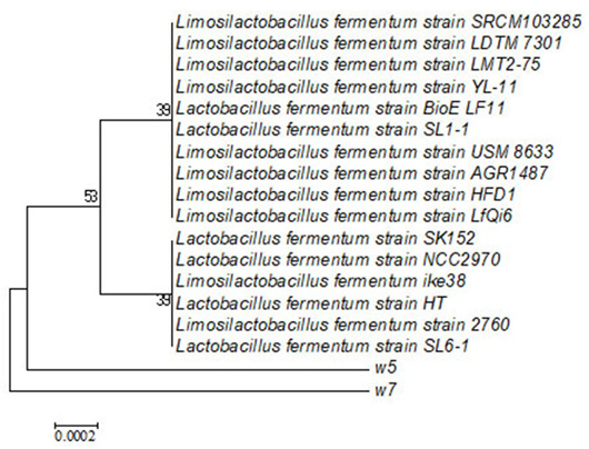 Figure 4: