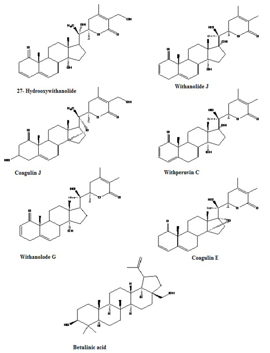 Figure 1: