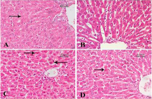 Figure 6: