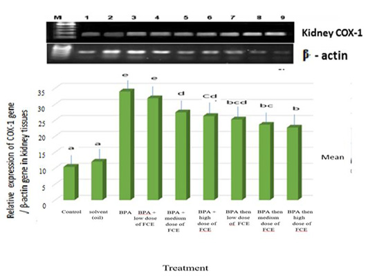 Figure 4: