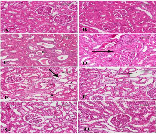 Figure 7:
