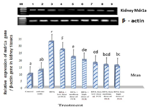 Figure 3: