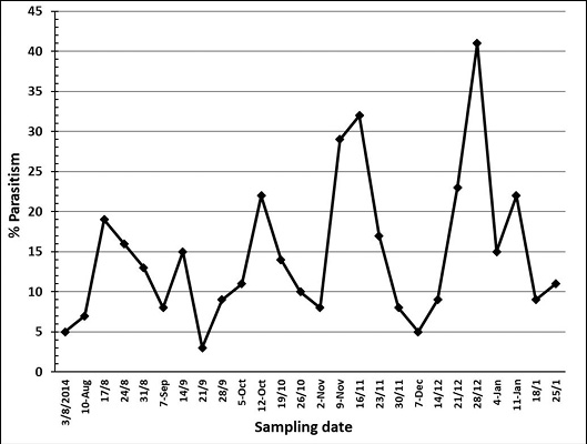 Figure 5: