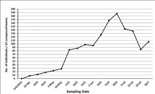 Figure 2: