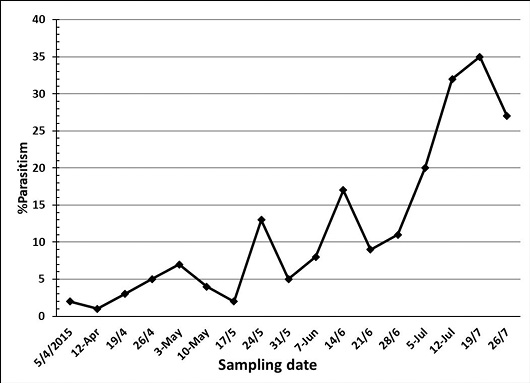 Figure 6: