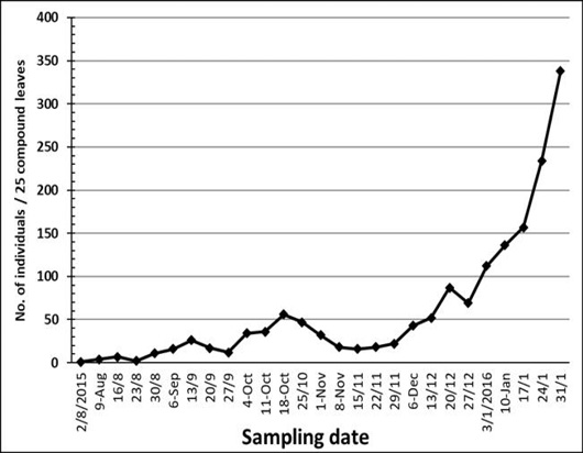 Figure 3:
